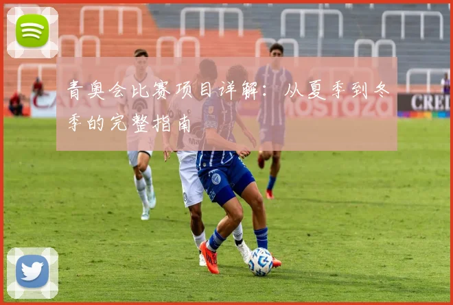 青奥会比赛项目详解:从夏季到冬季的完整指南